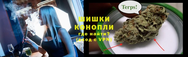 хмурый Аркадак