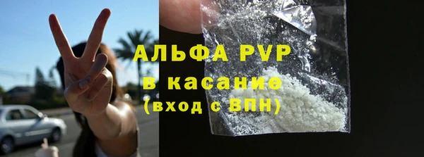 хмурый Аркадак