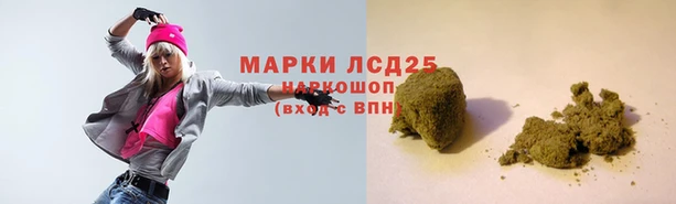 шишки Балахна