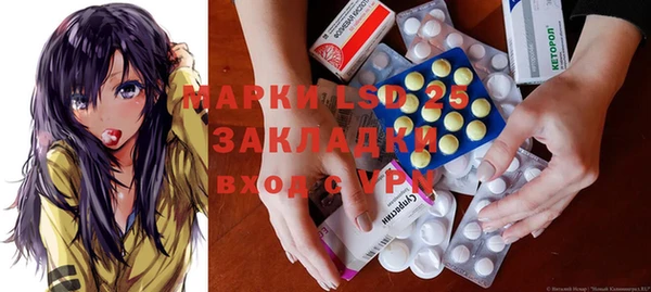 хмурый Аркадак
