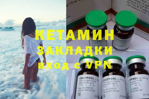 хмурый Аркадак