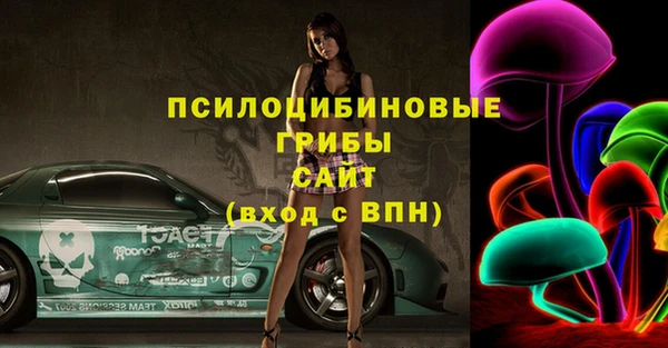 дмт Армянск